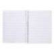 CUADERNO ESPIRAL LIDERPAPEL DIN A5 PAUTAGUIA TAPA PLASTICO 80H 90GR CUADRO PAUTADO 4 MM CON MARGEN VIOLETA