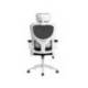 SILLA MARCA Q-CONNECT ERGONOMICA PAL ERMO MALLA BASE NYLON ALT MAX 1300 ANC 610 PROF 600 RUEDAS PREMIUM COLOR BLANCO NEGRO