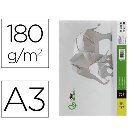 CARTULINA LIDERPAPEL DIN A3 180G/M2 BLANCO PAQUETE DE 25+5 HOJAS EN CARPETA DOSSIER TRANSPARENTE CON CIERRE