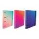CARPETA 4 ANILLAS MARCA OXFORD EUROPEANBINDER GRADIENT TAPA EXTRADURA DIN A4 + RECAMBIO 120 HOJAS CUADRO 5 MM