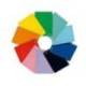 CUADERNO ESPIRAL MARCA LIDERPAPEL A4 WITTY TAPA DURA 80H 90GR RAYADO Nº46 COLORES SURTIDOS