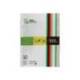 Papel Liderpapel Colores Surtidos 80 g/m2 A4 100 hojas