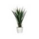PLANTA ARTIFICIAL MARCA PAPERFLOW YUCA 60 CM