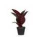 PLANTA ARTIFICIAL MARCA PAPERFLOW FICUS ELASTICA 36 CM