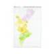 Mapa Mudo Comunidad Valenciana DIN A4 Político Color