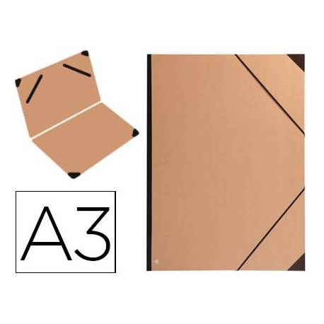Carpeta Clairefontaine Din A3 gomas