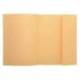 Subcarpeta Exacompta nature future din A4 amarillo 160 g/m2 solapa interior