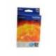 Cartucho Brother LC-980C Cian dcp-145 dcp-165 mfc-250 mfc-290
