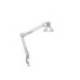 LAMPARA DE ESCRITORIO MAUL STUDY CON PINZA PLATA 170X440X350 MM
