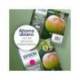 CARTUCHOS INK-JET EPSON T1295 MULTICOLOR C13T12954012