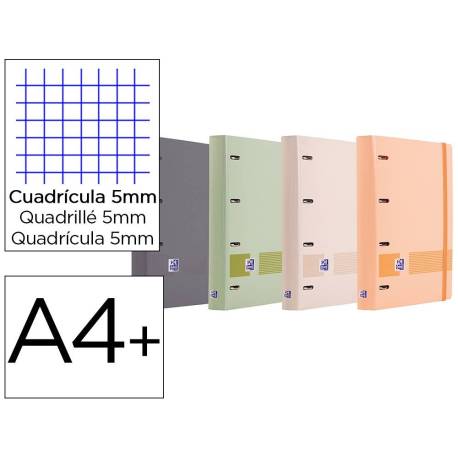 CARPETA CON RECAMBIO OXFORD EUROPEANBINDER BOREAL DIN A4+ 4 ANILLAS 35 MM RECAMBIO 100 HOJAS CUADRO 5 MM COLORES SURTIDOS