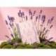 AGENDA OFICINA MARCA LIDERPAPEL 2027 ESPIRAL FLOWERS A DIA PAGINA A5 BILINGUE 70G PAPEL FSC DESIGN 4