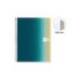CUADERNO ESPIRAL MARCA MIQUELRIUS DIN A4 120 HOJAS 70 GR CUADRO 5 MM TAPA POLIPROPILENO AURORA ICELAND