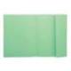 Subcarpeta Exacompta nature future din A4 verde 160 g/m2 solapa interior