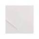 Cartulina Guarro blanco 500 x 650 mm 185 g/m2