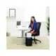 DESTRUCTORA DE DOCUMENTOS MARCA FELLOWES LX-41 CAPACIDAD 8H SEGURIDAD P4 DESTRUYE GRAPAS CLIPS Y TARJETA PAPELERA 17 L
