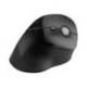 RATON OPTICO KENSINGTON PRO FIT ERGO VERTICAL NEGRO