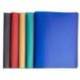 CARPETA MARCA EXACOMPTA ESCAPARATE 100 FUNDAS DIN A4 RECICLADA POLIPROPILENO COLORES SURTIDOS