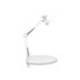 LAMPARA DE ESCRITORIO MAUL STUDY CON PINZA BLANCO 170X440X350 MM