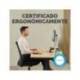 ALFOMBRILLA PARA RATON MARCA FELLOWES CON REPOSAMUÑECAS BREYTA NEGRO 250X210X25 MM